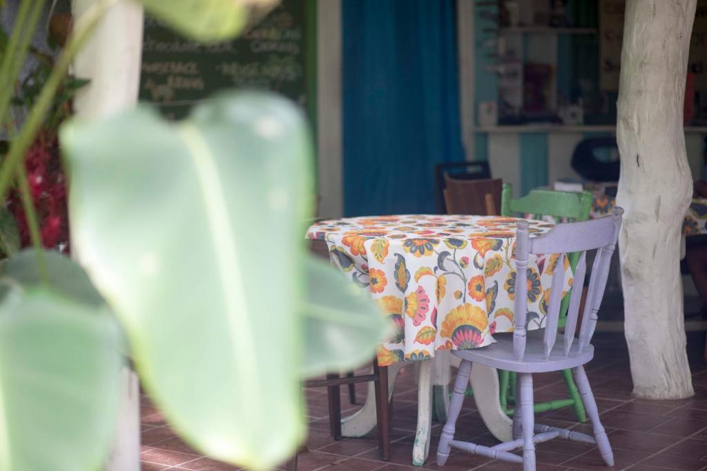 Madre Selva Hostel photo