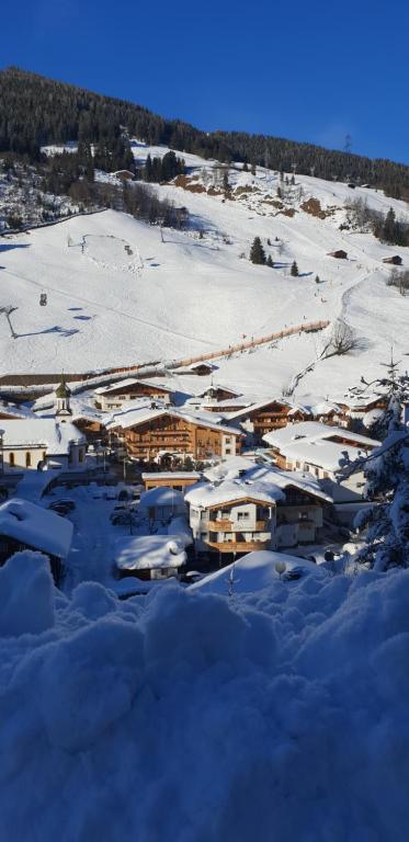 alpenrose hotel-garni - 2