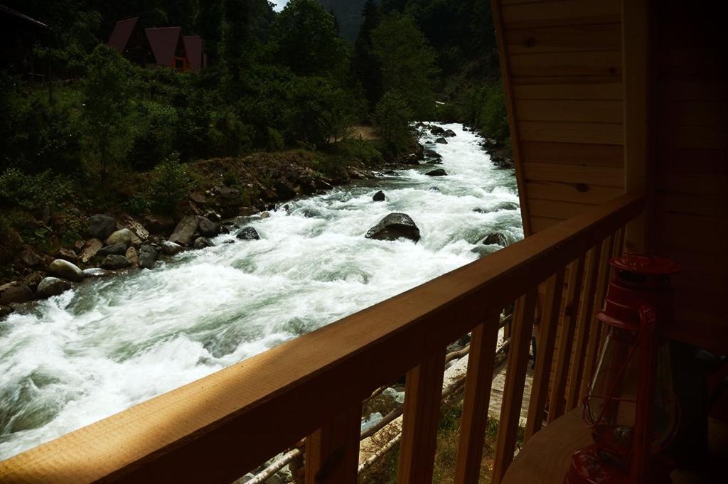 FOGA BUNGALOV photo