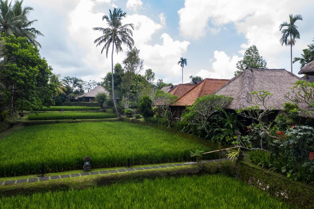 Pemandangan