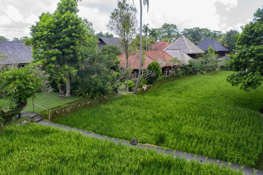 Pemandangan
