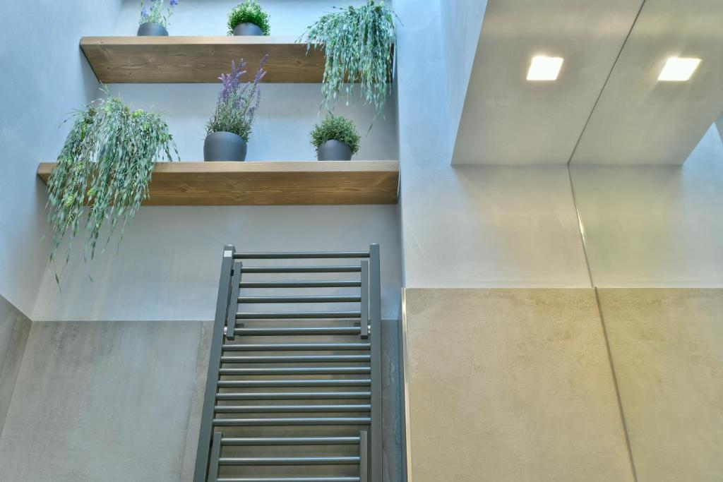 Amnis suites photo