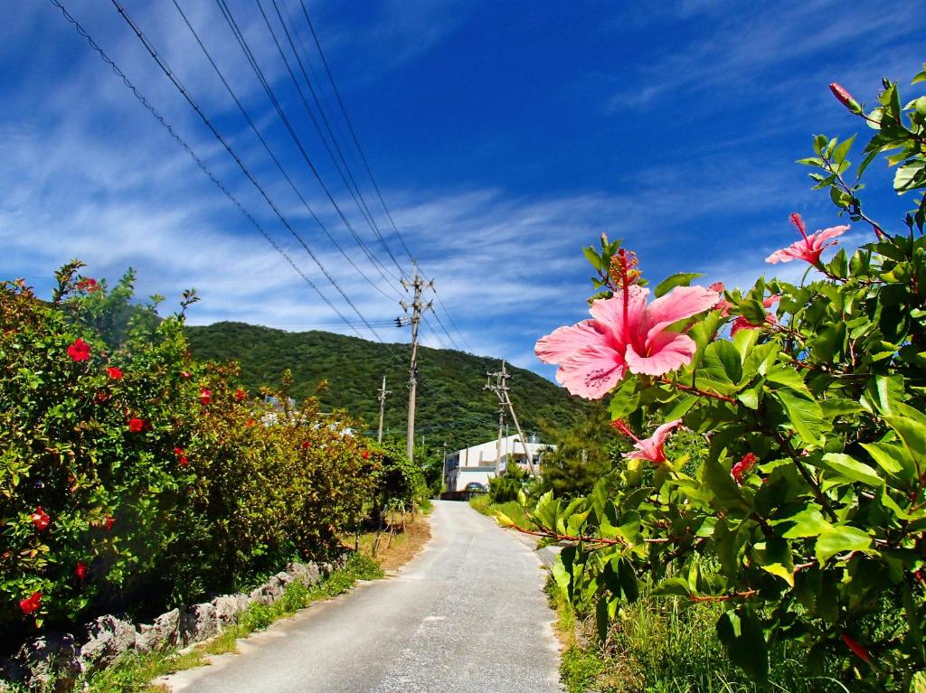 Surrounding environment