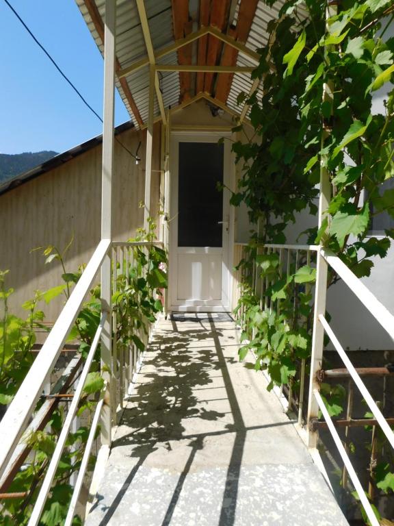 Akaki's Guesthouse photo