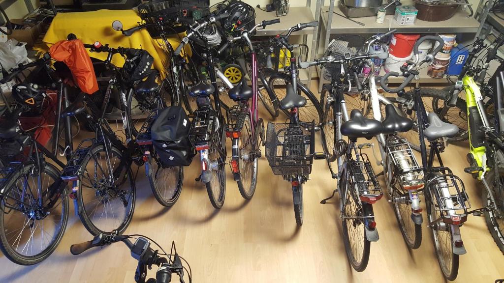 スポーツ/アクティビティ