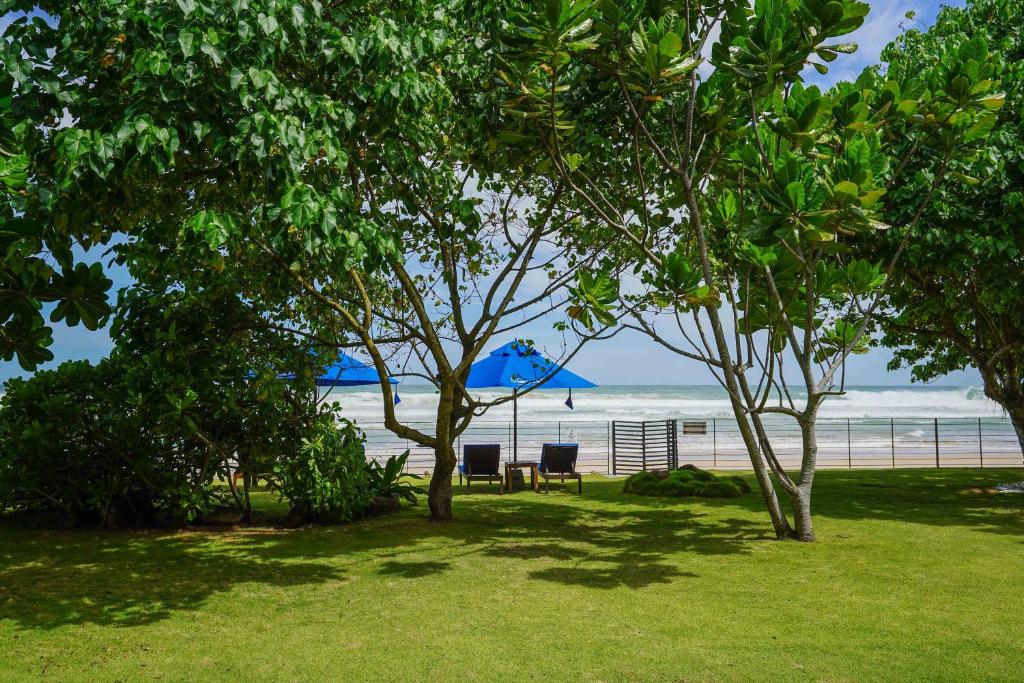 Solas Surf, Ahangama