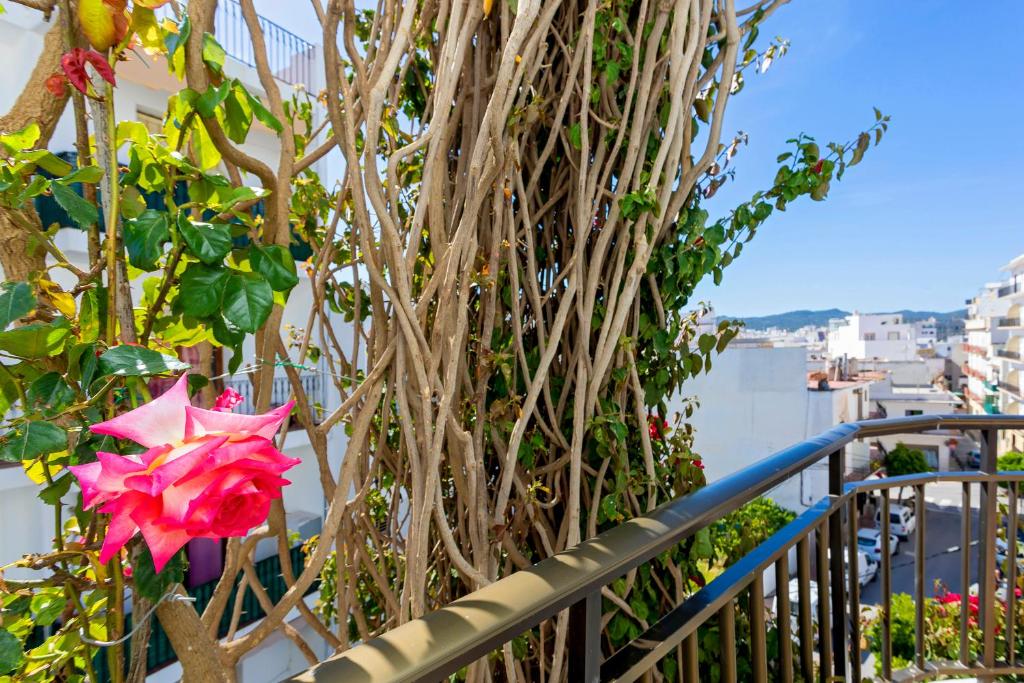 Hostal Manolita photo