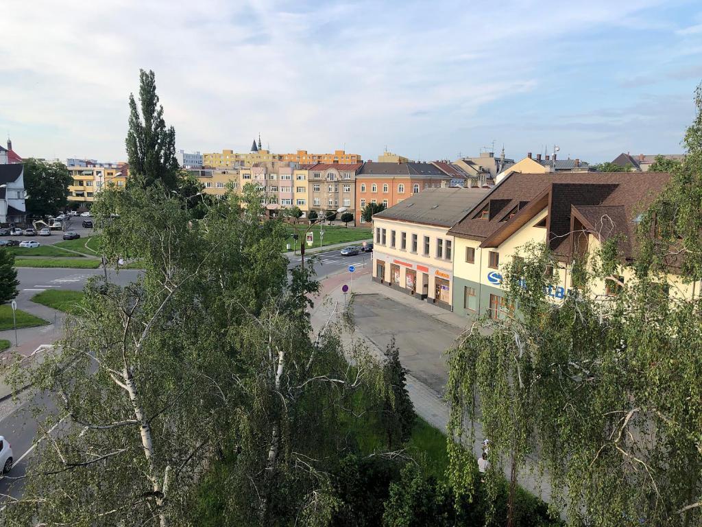 Skodova Apartments photo