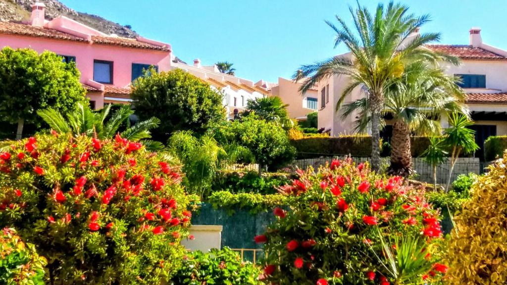 Deluxe garden flat near Terra-Mítica - 5
