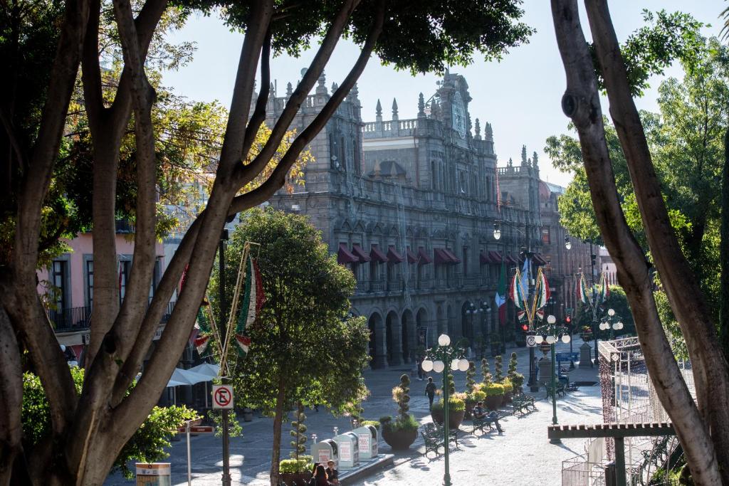 Zocalo SENSACIONAL - 5