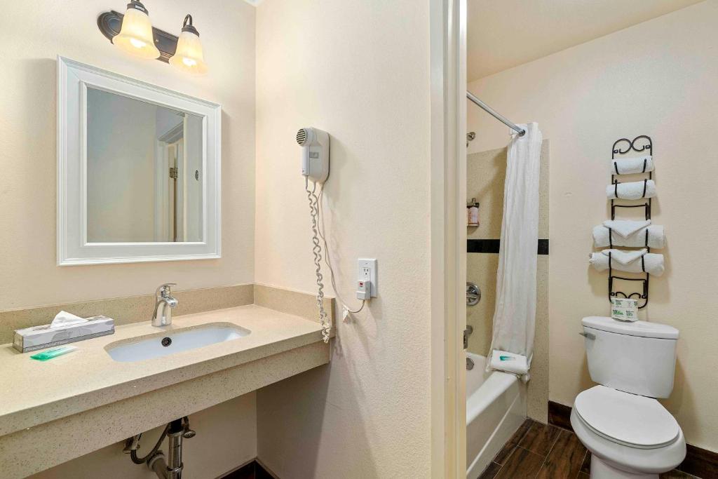 The Lemon Tree Hotel photo