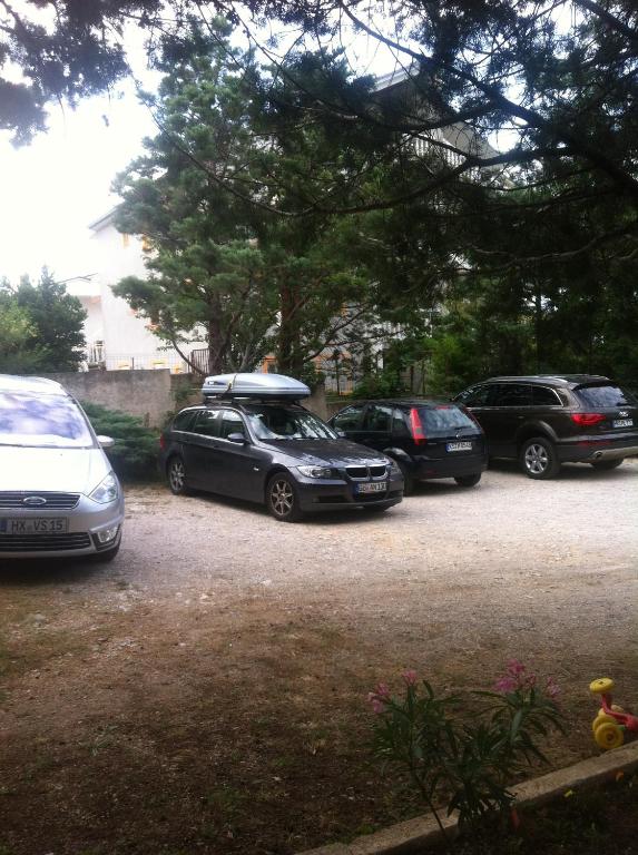 Apartments Tepavac photo