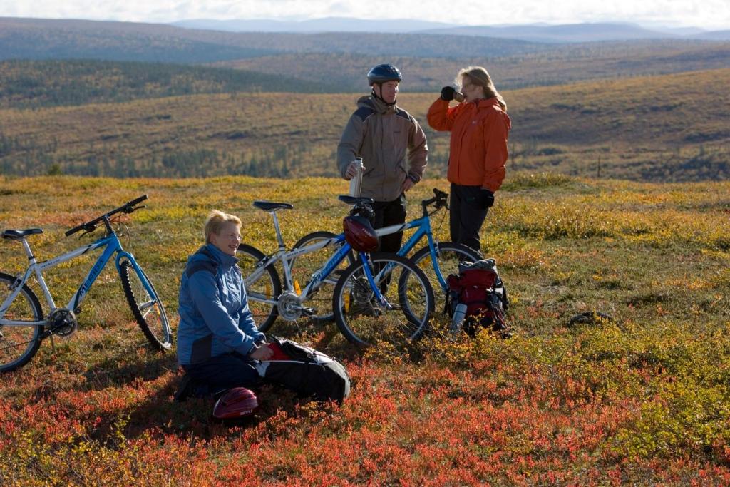 Surrounding environment