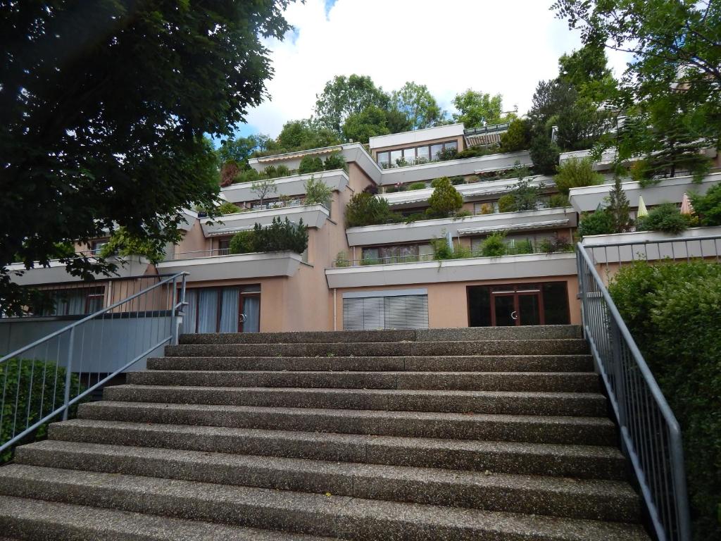 Ảnh 5