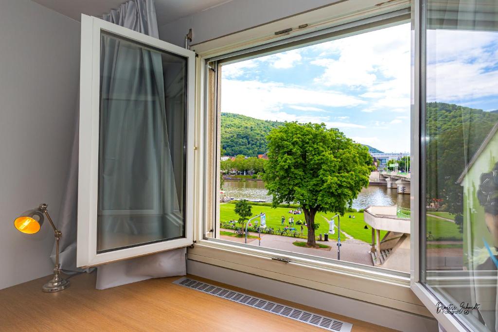 BS Neckar Apartment Heidelberg — Hotel in Heidelberg