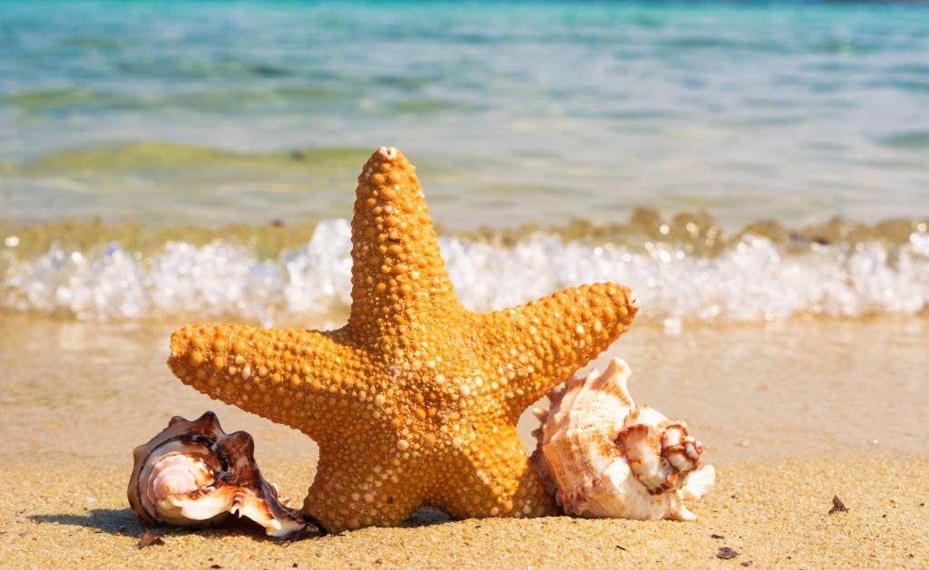 Mina Al Arab Apartment with pool and beach, Rás al-Chajma