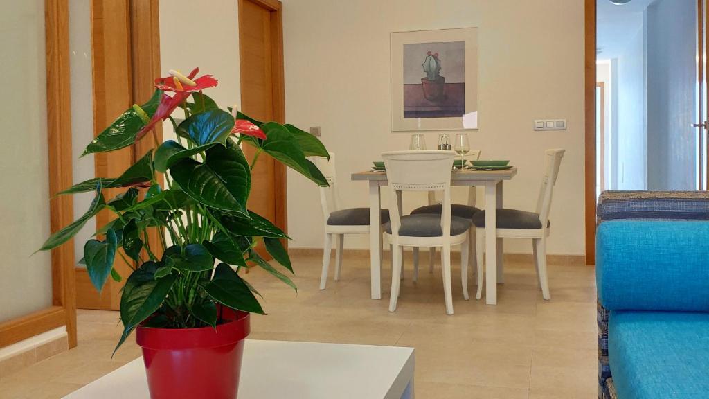 Fuerteventura - Apartamento Ciudad 2.3 - 4