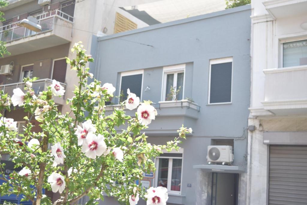 Acropolis Apartments photo