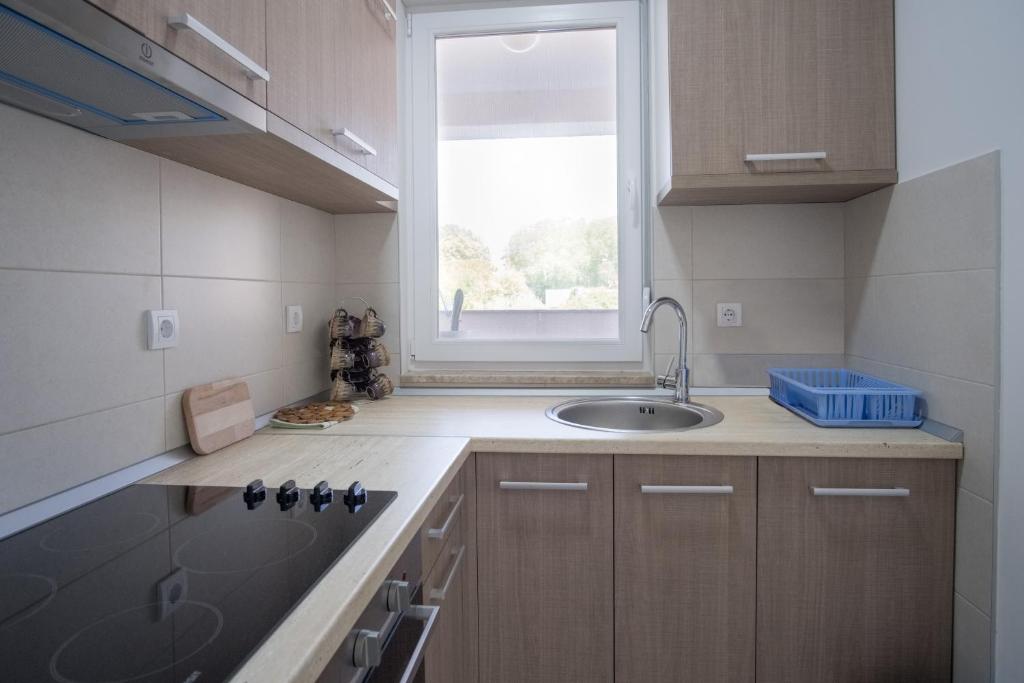 Apartmani Tribunija - 5