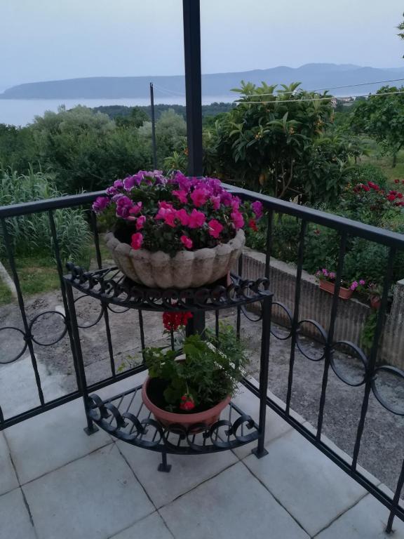 Apartment Belici photo