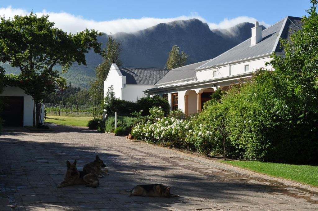 Bo La Motte Farm Cottages photo