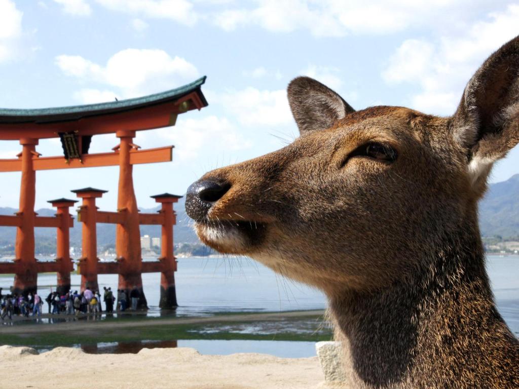 Nearby attraction