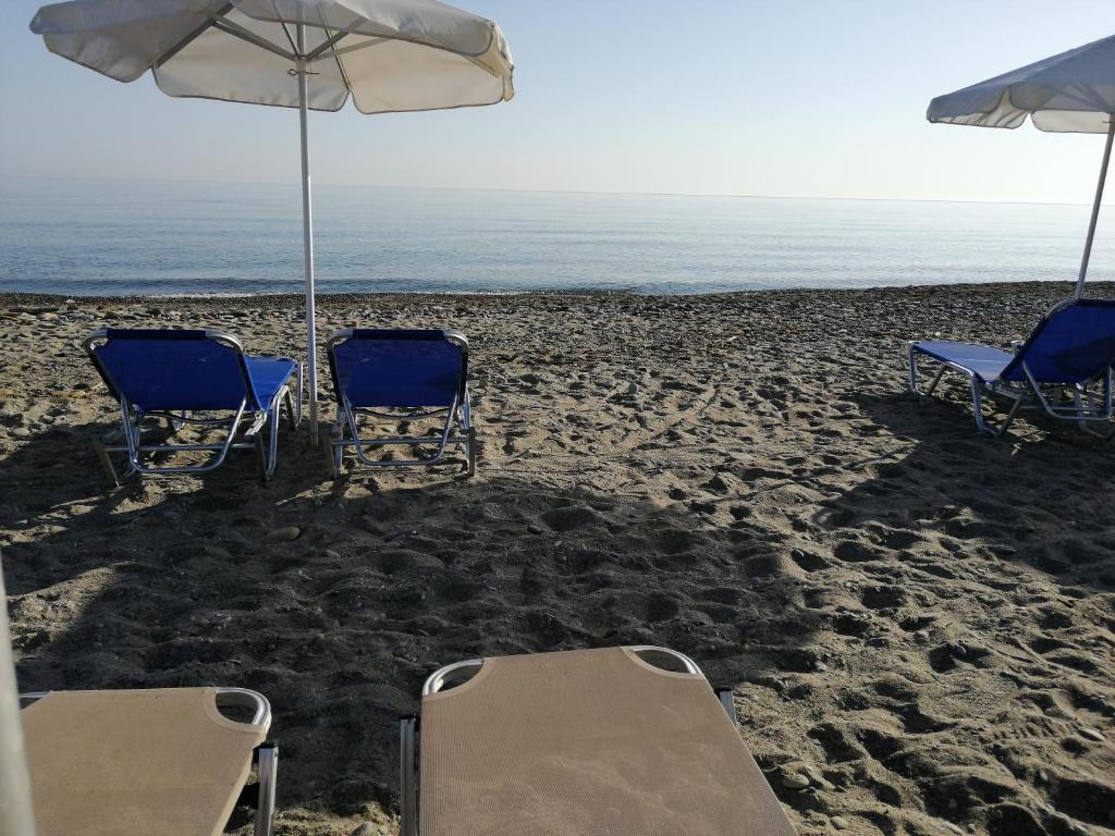 Carisa Maleme photo
