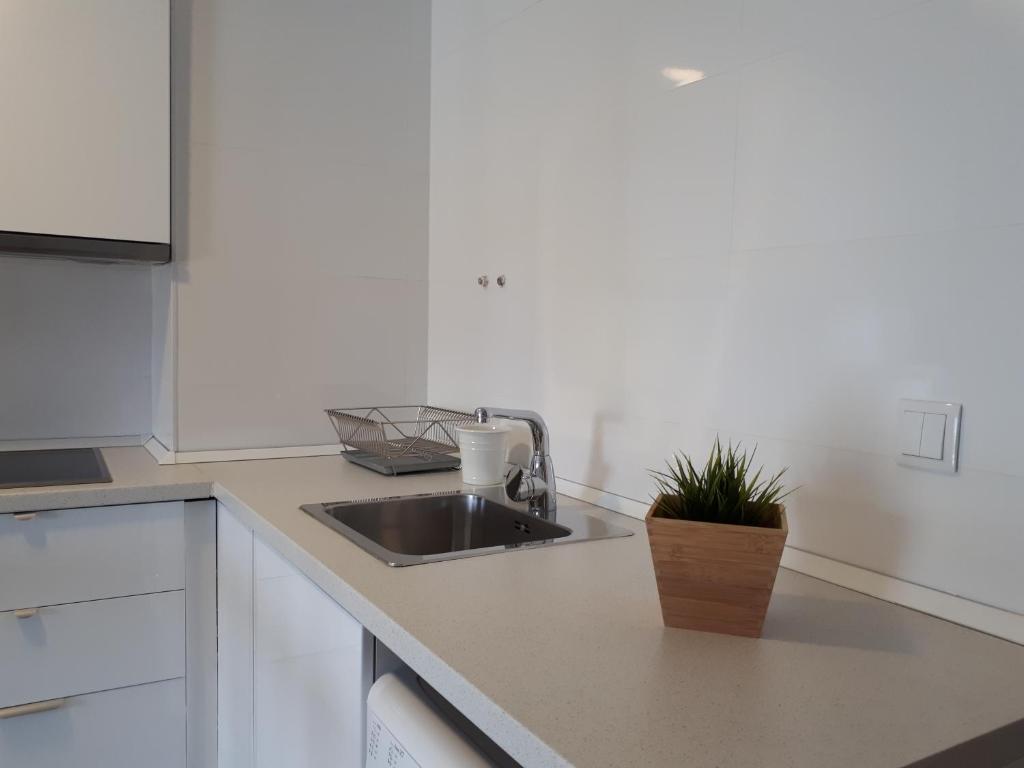 NEW Arenal Studio - 5