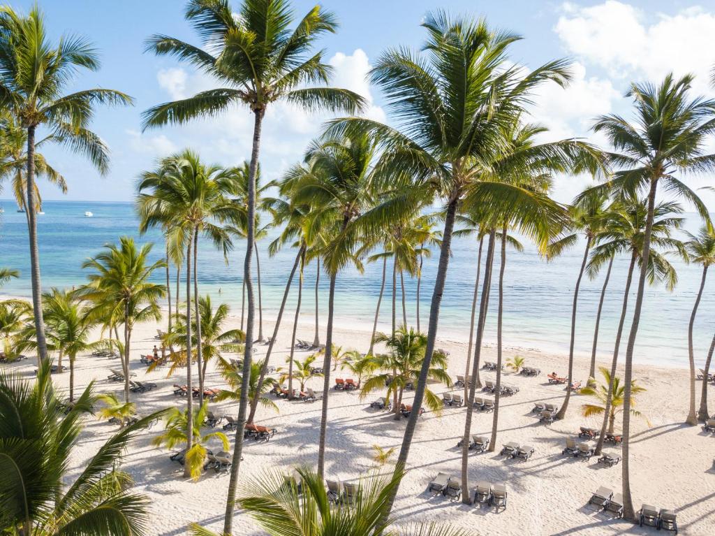Barcelo Bavaro Beach - All Inclusive - Adults Only Photo 19