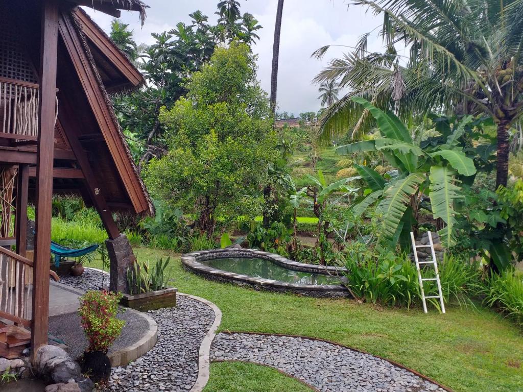 Uma Nirmala Aling-Aling