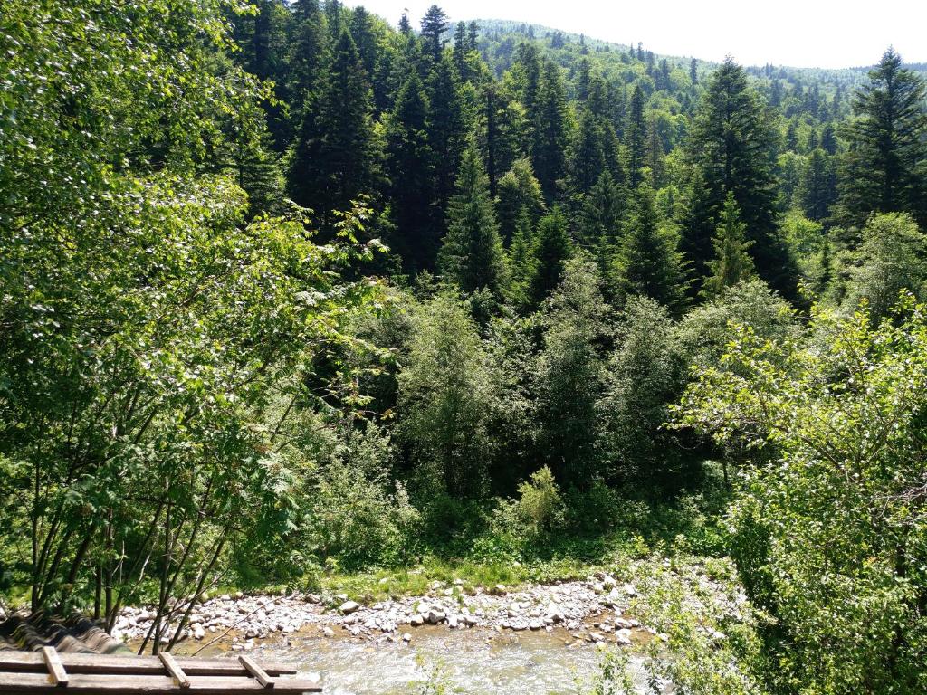 Karpaty_BEST photo
