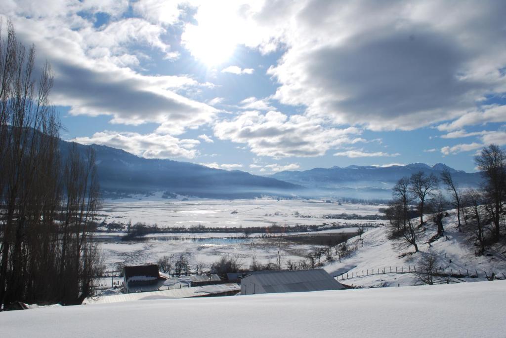 Cabañas Pino Solo - 5