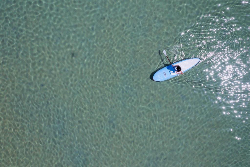 スポーツ/アクティビティ