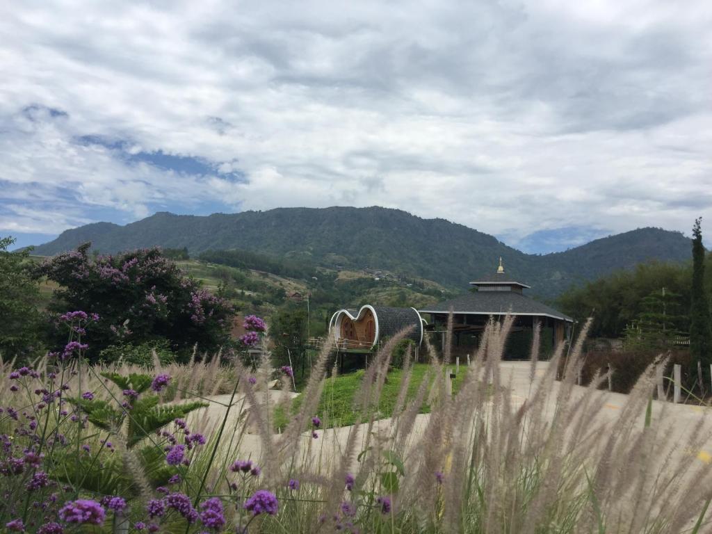 Surrounding environment