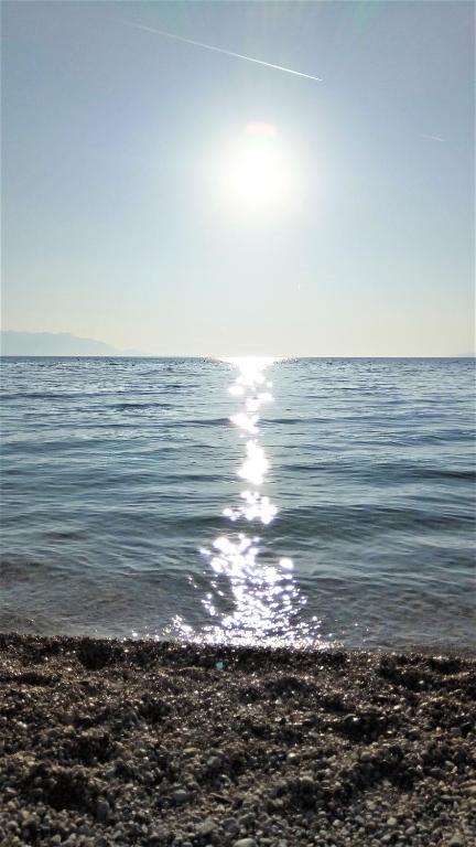 House Mergl Gradac photo