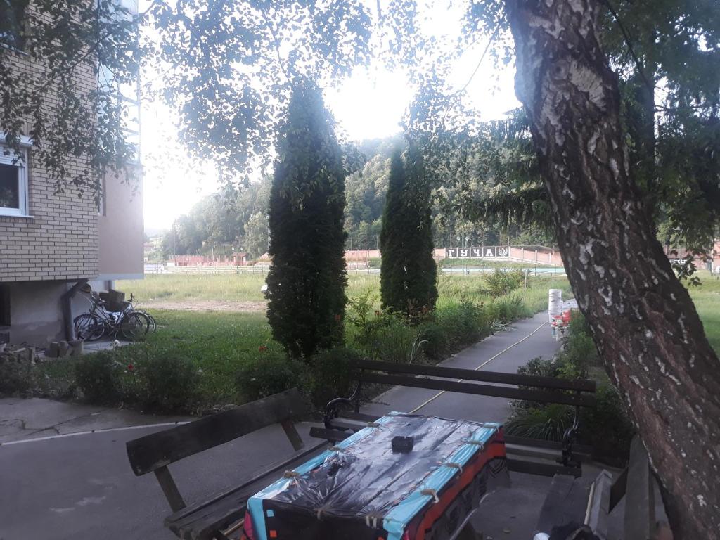 Apartment Dragica photo