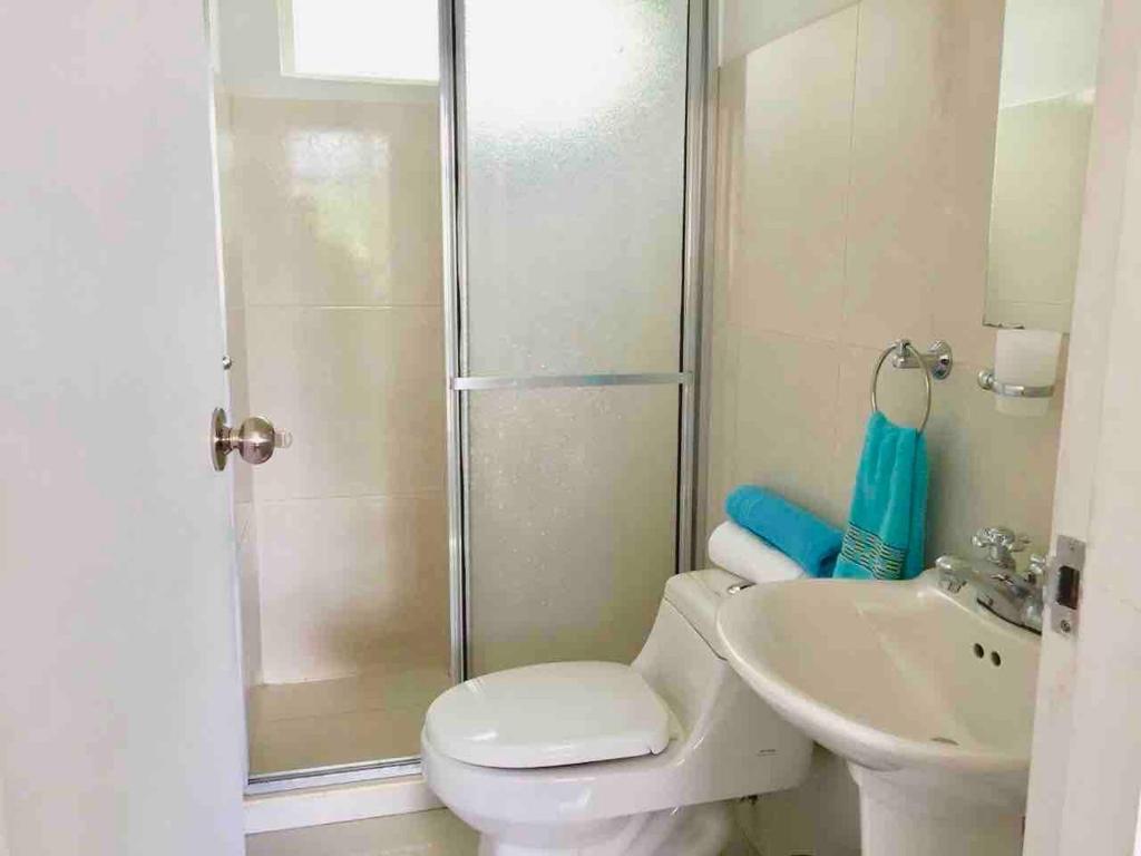 SPACIOUS STUDIO CENTRAL LOCATION (201) photo