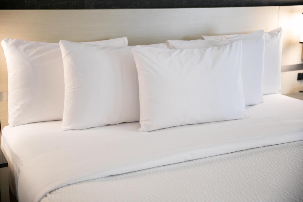 Days Inn by Wyndham Toronto West Mississauga photo
