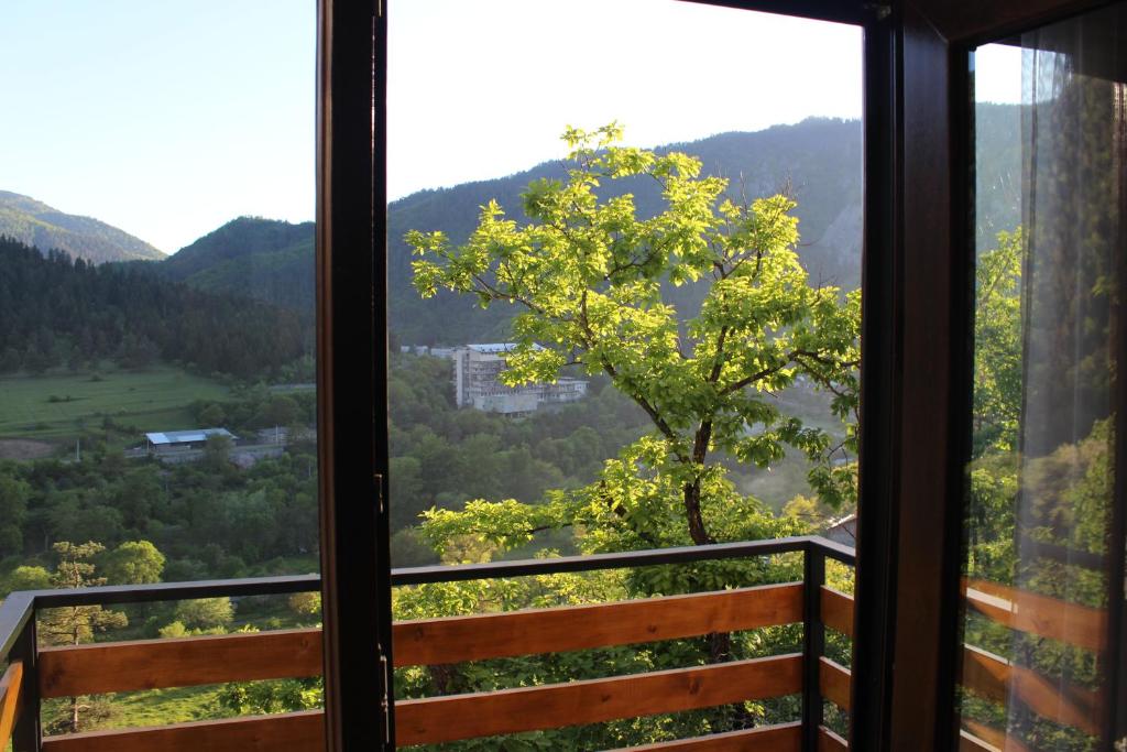 Guest House on Meskheti photo