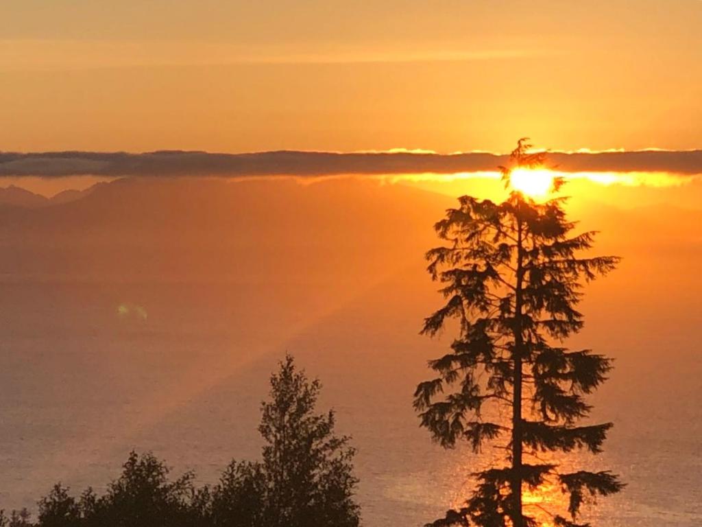 Ocean Melody Vacation Rooms — Hotel in Nanaimo (BC)