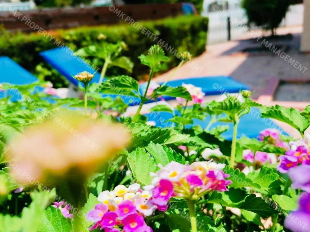 Merika Complex 1 Hou.32, Larnaka