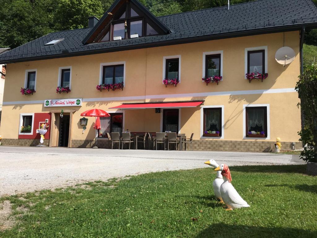 Gasthof Wölger - 2