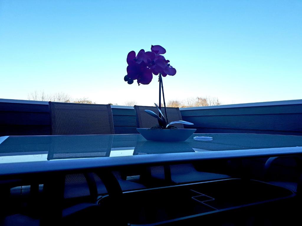 Ferienhaus Blutenzauber In Norddeich Apartment In Norddeich