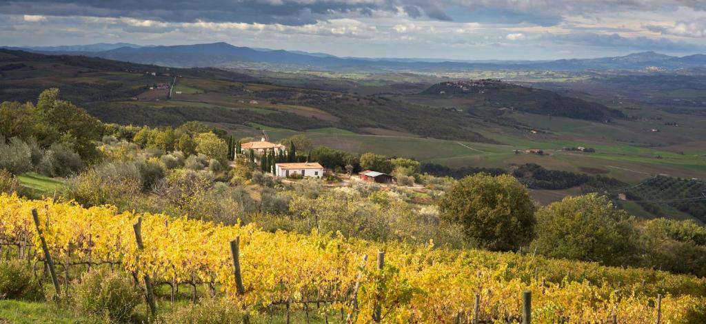 Villa Gaia photo