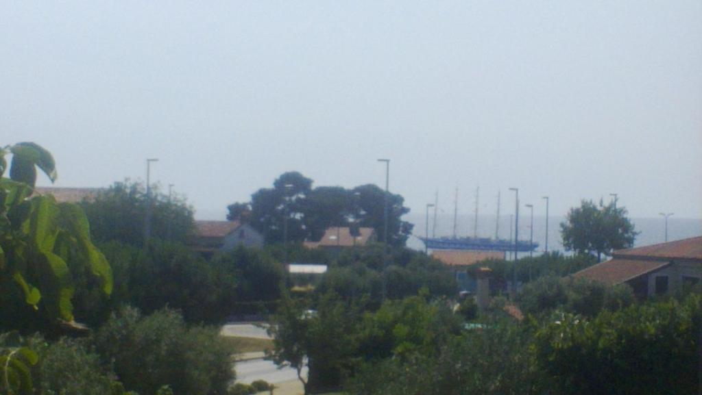 Guest House Jole photo