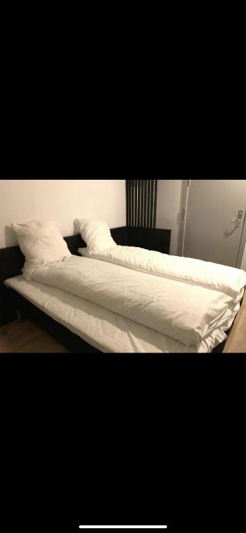 Motel oasen photo