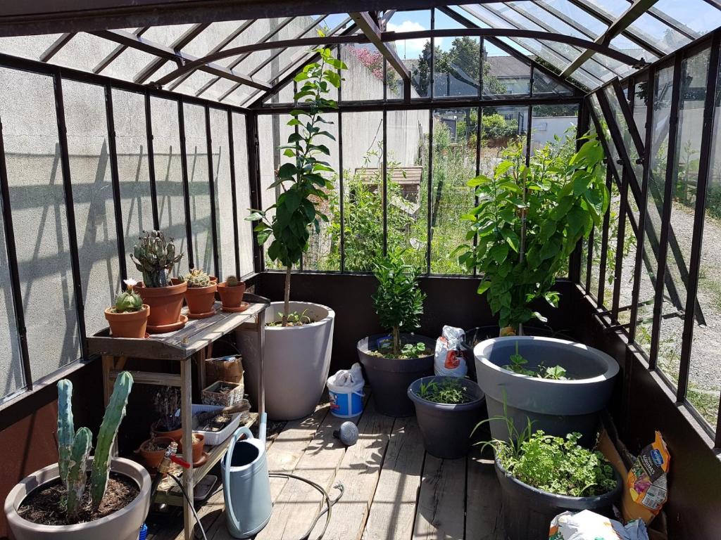 Angers Green Lodge - Yellow Sun Appartement - 5