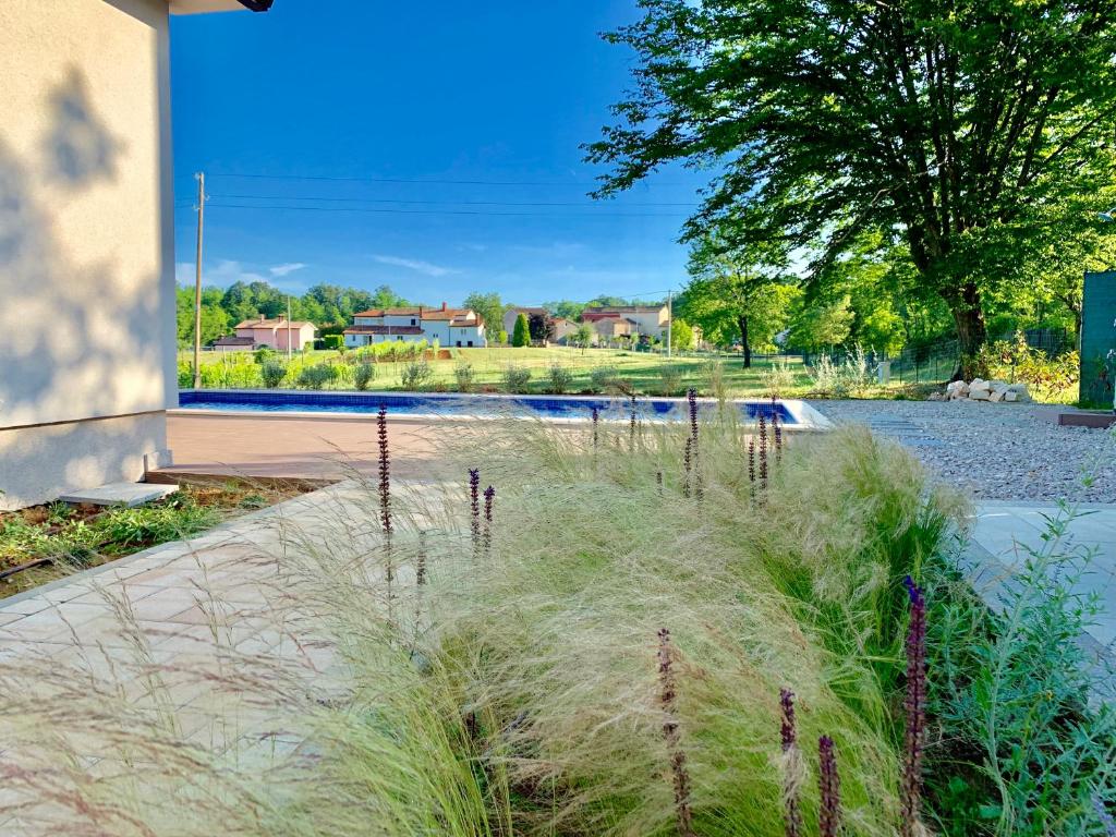 Villa Meadow photo