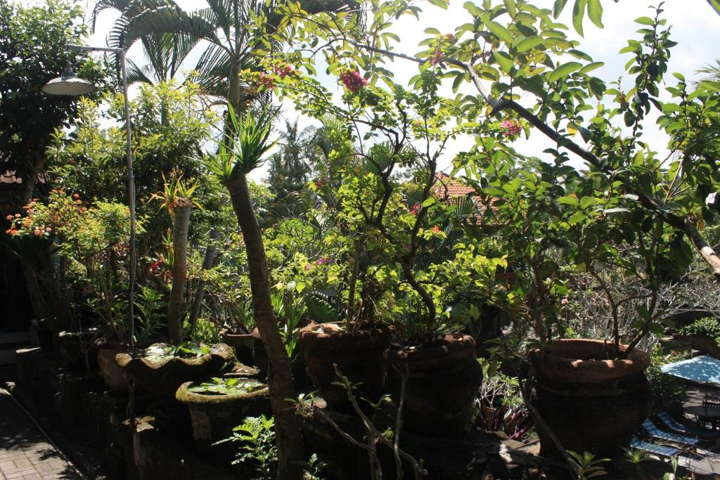 Raditia Homestay photo