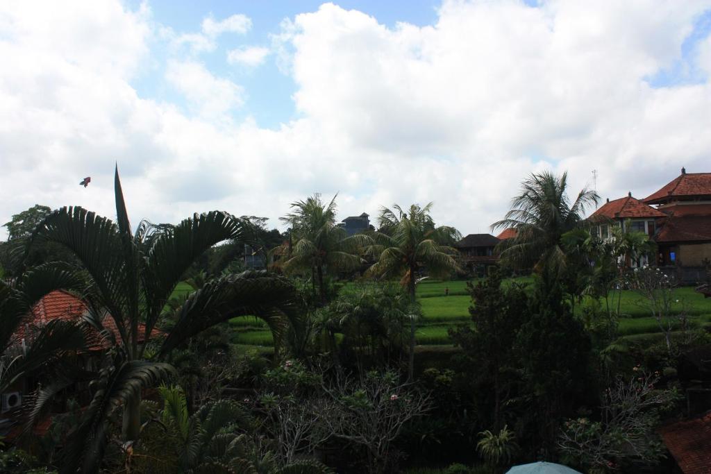 Raditia Homestay photo
